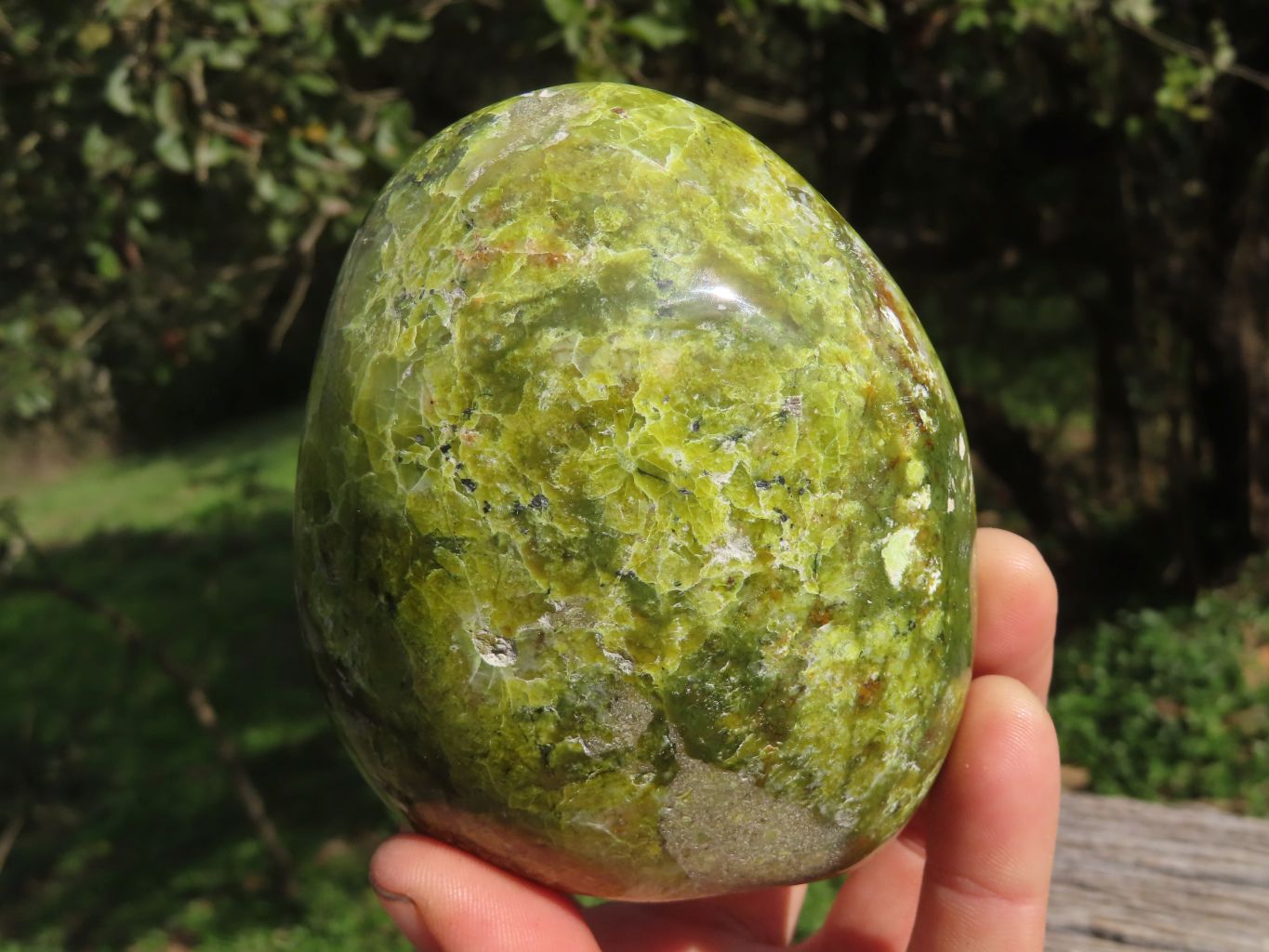 Polished Vibrant Green Opal Standing Free Forms x 2 From Antsirabe, Madagascar - TopRock