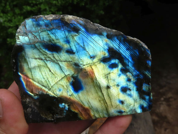Polished One Side Polished Labradorite Slices  x 3 From Madagascar - Toprock Gemstones and Minerals 