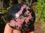 Polished Pink & Black Rhodonite Spheres x 3 From Madagascar - Toprock Gemstones and Minerals 