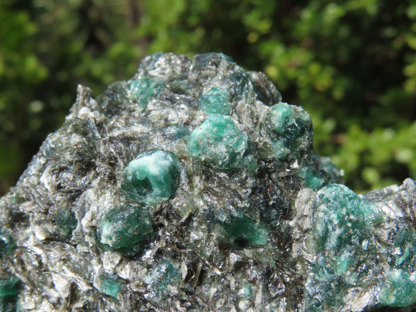 Natural Emeralds In Matrix  x 6 From Sandawana, Zimbabwe - TopRock