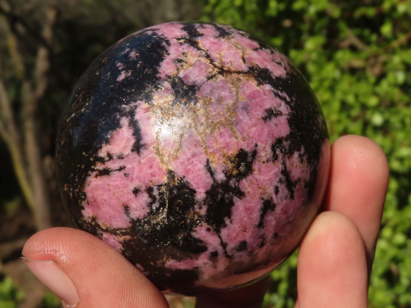 Polished Pink & Black Rhodonite Spheres x 3 From Madagascar - Toprock Gemstones and Minerals 
