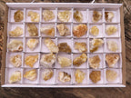 Natural Small Golden Lemonite Quartz Clusters  x 35 From Zambia - Toprock Gemstones and Minerals 