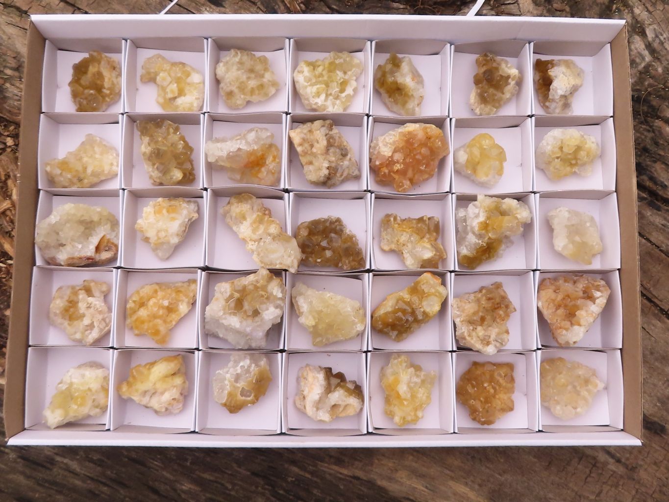Natural Small Golden Lemonite Quartz Clusters  x 35 From Zambia - Toprock Gemstones and Minerals 