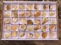 Natural Small Golden Lemonite Quartz Clusters  x 35 From Zambia - Toprock Gemstones and Minerals 