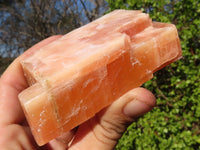 Natural New Sunset Orange Calcite Specimens  x 6 From Spitzkop, Namibia - Toprock Gemstones and Minerals 