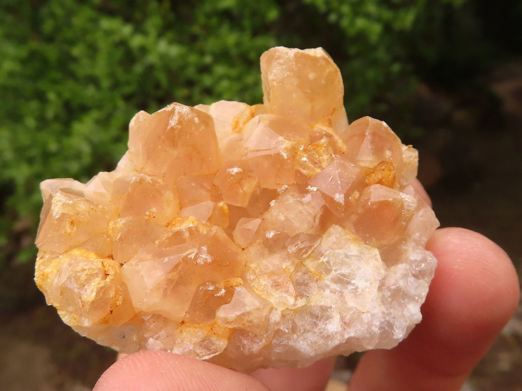Natural Small Golden Lemonite Quartz Clusters  x 35 From Zambia - Toprock Gemstones and Minerals 