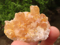 Natural Small Golden Lemonite Quartz Clusters  x 35 From Zambia - Toprock Gemstones and Minerals 