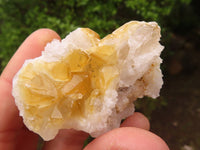 Natural Small Golden Lemonite Quartz Clusters  x 35 From Zambia - Toprock Gemstones and Minerals 