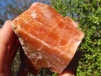 Natural New Sunset Orange Calcite Specimens  x 6 From Spitzkop, Namibia - Toprock Gemstones and Minerals 
