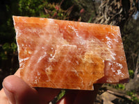 Natural New Sunset Orange Calcite Specimens  x 6 From Spitzkop, Namibia - Toprock Gemstones and Minerals 