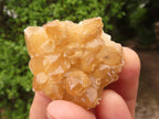 Natural Small Golden Lemonite Quartz Clusters  x 35 From Zambia - Toprock Gemstones and Minerals 