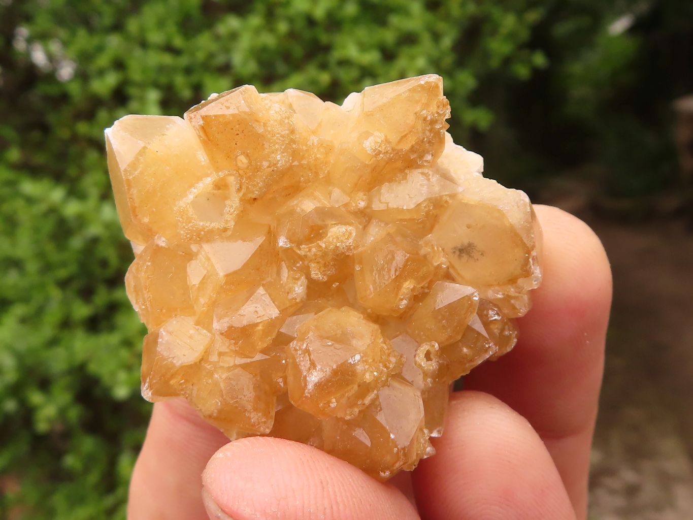 Natural Small Golden Lemonite Quartz Clusters  x 35 From Zambia - Toprock Gemstones and Minerals 