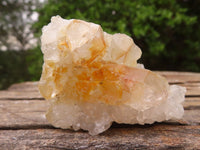 Natural Small Golden Lemonite Quartz Clusters  x 35 From Zambia - Toprock Gemstones and Minerals 