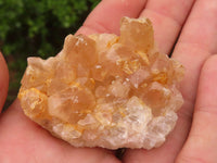 Natural Small Golden Lemonite Quartz Clusters  x 35 From Zambia - Toprock Gemstones and Minerals 