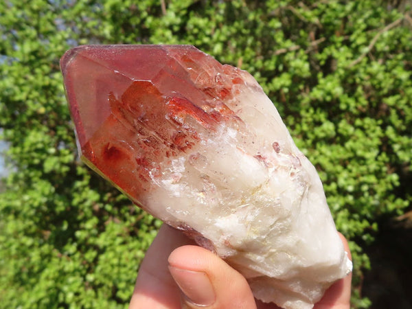 Natural Red Hematite Quartz Crystals  x 6 From Karoi, Zimbabwe