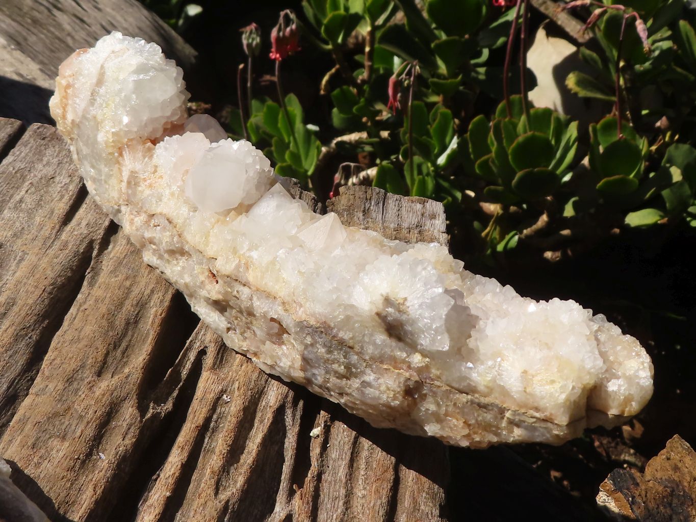 Natural Large White Spirit Quartz Crystal Clusters x 2 From Boekenhouthoek, South Africa - Toprock Gemstones and Minerals 