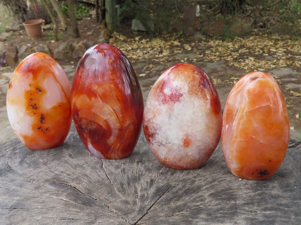 Polished Contrasting Orange Carnelian and White Agate Standing Free Forms  x 4 From Madagascar - TopRock