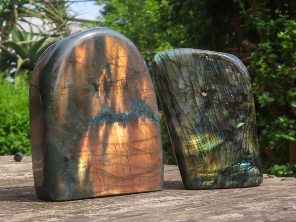Polished Gorgeous Labradorite Standing Free Forms With Intense Gold Flash x 2 From Tulear, Madagascar - TopRock