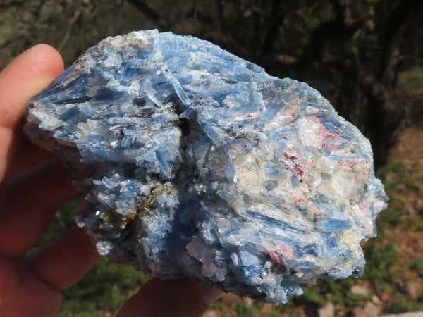 Natural Blue Kyanite Crystals In Schist Specimens  x 6 From Karoi, Zimbabwe - TopRock