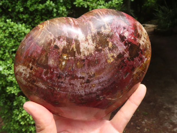 Polished Extra Large Petrified Red Podocarpus Wood Heart  x 1 From Madagascar - Toprock Gemstones and Minerals 