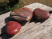 Polished Trio Of Petrified Podocarpus Wood Hearts  x 3 From Mahajanga, Madagascar - TopRock
