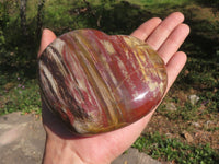 Polished Trio Of Petrified Podocarpus Wood Hearts  x 3 From Mahajanga, Madagascar - TopRock