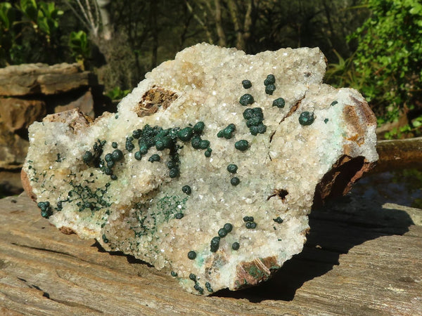 Natural Rare Ball Malachite On Drusy Quartz & Dolomite Matrix  x 1 From Kambove, Congo