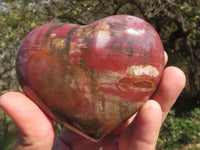 Polished Trio Of Petrified Podocarpus Wood Hearts  x 3 From Mahajanga, Madagascar - TopRock