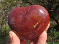 Polished Trio Of Petrified Podocarpus Wood Hearts  x 3 From Mahajanga, Madagascar - TopRock