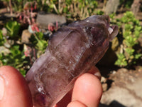 Natural Window Amethyst Crystal Specimens  x 6 From Chiredzi, Zimbabwe - Toprock Gemstones and Minerals 