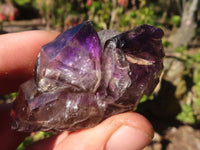 Natural Window Amethyst Crystal Specimens  x 6 From Chiredzi, Zimbabwe - Toprock Gemstones and Minerals 