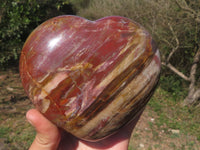 Polished Trio Of Petrified Podocarpus Wood Hearts  x 3 From Mahajanga, Madagascar - TopRock