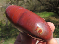 Polished Trio Of Petrified Podocarpus Wood Hearts  x 3 From Mahajanga, Madagascar - TopRock