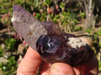 Natural Window Amethyst Crystal Specimens  x 6 From Chiredzi, Zimbabwe - Toprock Gemstones and Minerals 