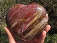Polished Trio Of Petrified Podocarpus Wood Hearts  x 3 From Mahajanga, Madagascar - TopRock