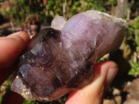 Natural Window Amethyst Crystal Specimens  x 6 From Chiredzi, Zimbabwe - Toprock Gemstones and Minerals 