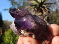 Natural Window Amethyst Crystal Specimens  x 6 From Chiredzi, Zimbabwe - Toprock Gemstones and Minerals 