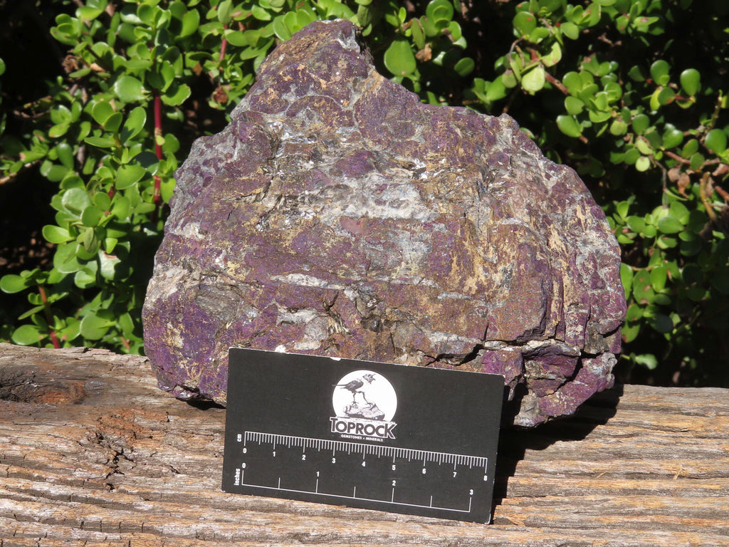 Natural Extra Large Purpurite Specimen x 1 From Erongo, Namibia - TopRock