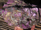 Natural Extra Large Purpurite Specimen x 1 From Erongo, Namibia - TopRock