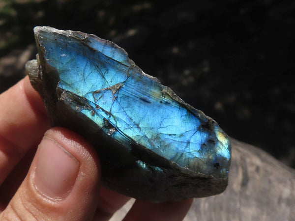 Polished One Side Polished Labradorite Slices  x 30 From Tulear, Madagascar - TopRock