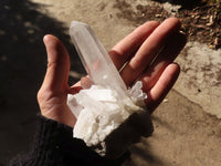 Natural Clear Quartz Crystal Specimens  x 6 From Madagascar - Toprock Gemstones and Minerals 