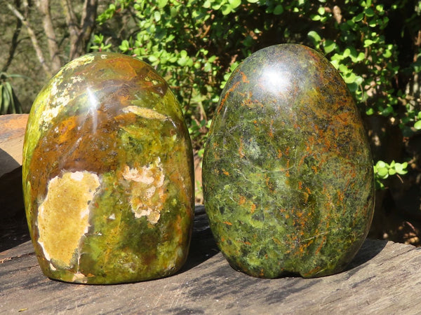 Polished Green Opal Standing Free Forms  x 2 From Madagascar