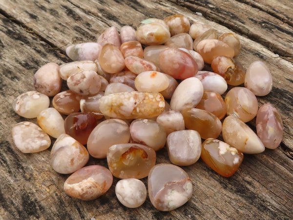 Polished Coral Flower Agate Galets (Palm Stones)  - Sold per 1 kg - From Madagascar - Toprock Gemstones and Minerals 