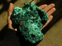 Natural Chatoyant Silky Malachite Specimens  x 2 From Kasompe, Congo - Toprock Gemstones and Minerals 