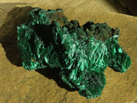 Natural Chatoyant Silky Malachite Specimens  x 2 From Kasompe, Congo - Toprock Gemstones and Minerals 