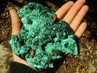 Natural Chatoyant Silky Malachite Specimens  x 2 From Kasompe, Congo - Toprock Gemstones and Minerals 