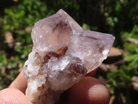 Natural Small Spirit Quartz Clusters  x 35 From Boekenhouthoek, South Africa - TopRock