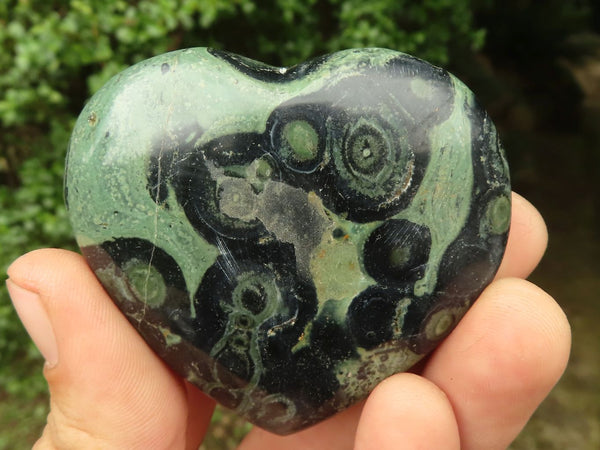 Polished Stromatolite / Kambamba Jasper Hearts & Sphere  x 6 From Madagascar