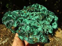 Natural Chatoyant Silky Malachite Specimens  x 2 From Kasompe, Congo - Toprock Gemstones and Minerals 