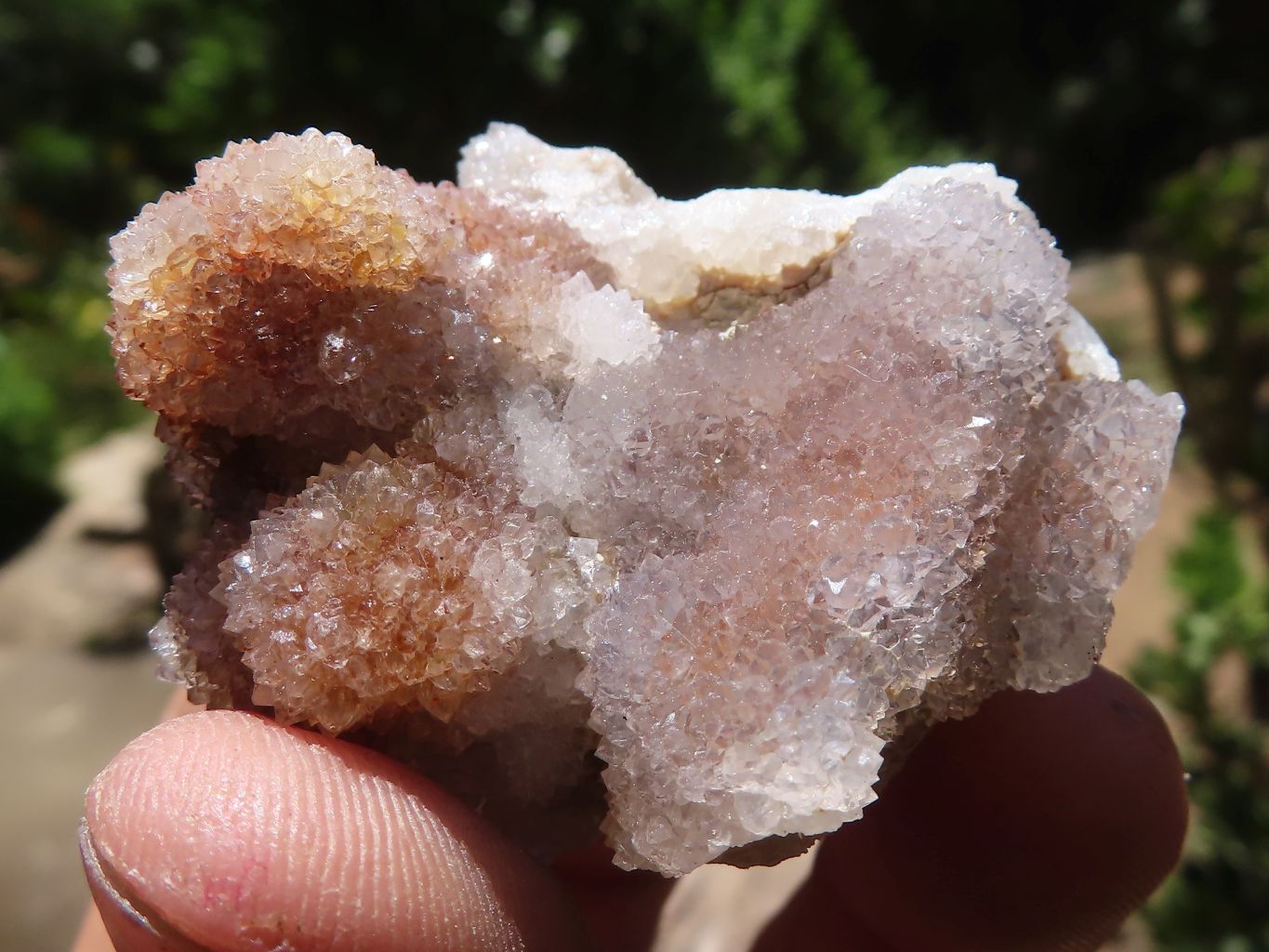 Natural Small Spirit Quartz Clusters  x 35 From Boekenhouthoek, South Africa - TopRock